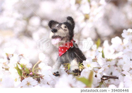Wool felt dog and cherry blossoms Wool felt dog and cherry blossoms 39400446