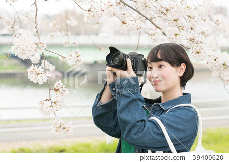 Camera girl taking a cherry tree Camera girl taking a cherry tree 39400620