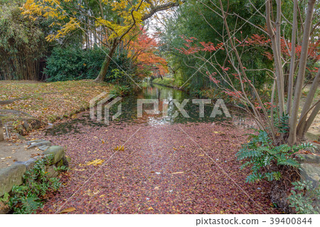 Autumn view of the garden Autumn view of the garden 39400844
