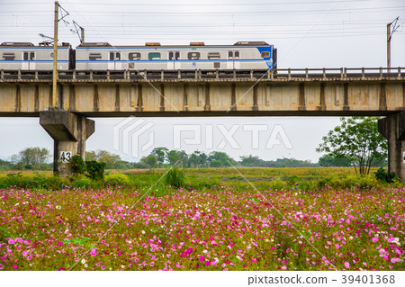 屏東舊鐵橋公園 Kaohsiung Pingtung Park, Taiwan, Asia 屏東舊鐵橋公園 Kaohsiung Pingtung Park, Taiwan, Asia 39401368