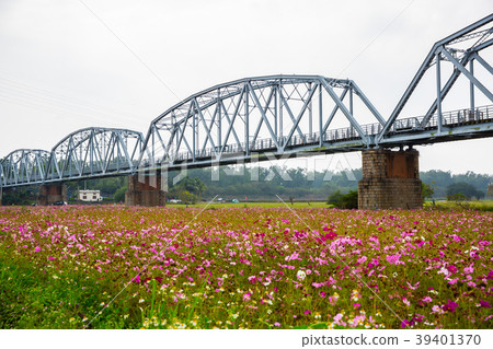 Pingtung Old Iron Bridge Park Kaohsiung Pingtung Park, Taiwan, Asia 39401370