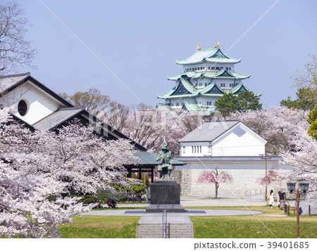 名古屋城堡和櫻花 39401685