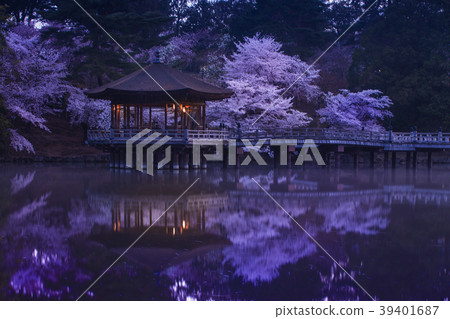 Ukimido的春天 Ukimido的春天 39401687