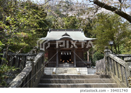 櫻花盛開的食人魔神社 櫻花盛開的食人魔神社 39401740