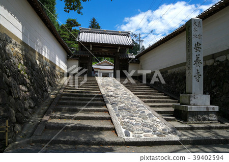 Gujo Anyoji Gujo Anyoji 39402594
