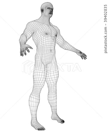 Wire frame athlete body on white background Wire frame athlete body on white background 39402835