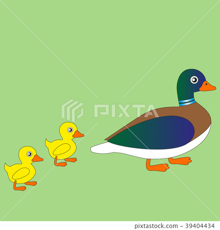 Cartoon duck with ducklings. Cartoon duck with ducklings. 39404434