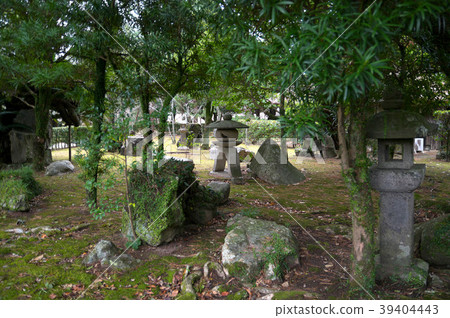 Shigetsu公園前Niwaha茶室的風景 39404443