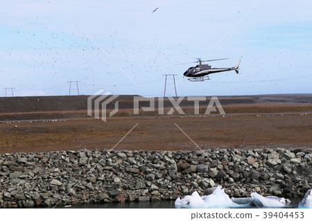Helicopter landing surrounded by flock of birds Helicopter landing surrounded by flock of birds 39404453