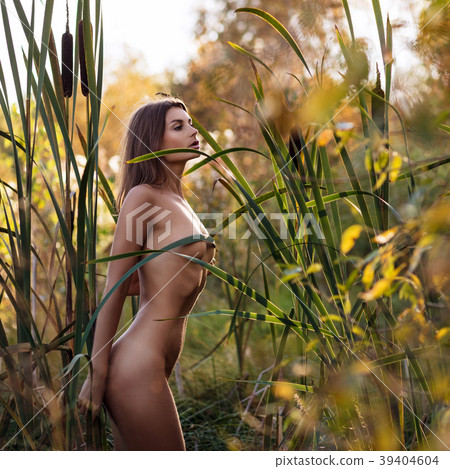 Sexual nude woman posing in the thicket of reeds. Sexual nude woman posing in the thicket of reeds. 39404604