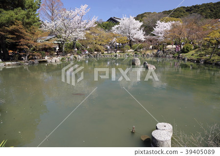 Kyoto Maruyama Park Kyoto Maruyama Park 39405089