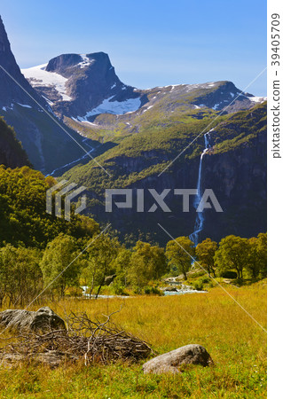 Meadow near Briksdal glacier - Norway 39405709