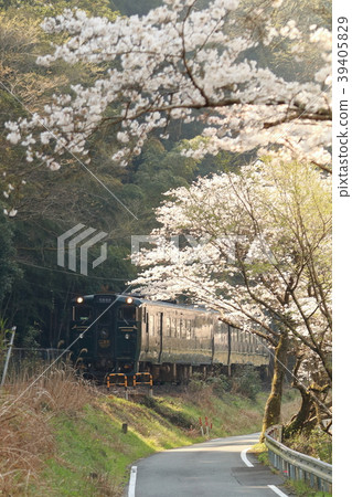 戰鬥·寺廟 戰鬥·寺廟 39405829