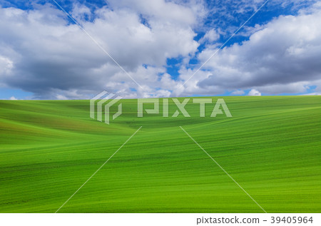 Famous moravian fields - Czech Republic Famous moravian fields - Czech Republic 39405964