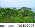 Amakusa Matsushima的新鮮的綠色 39405996