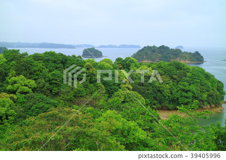 Amakusa Matsushima的新鮮的綠色 39405996