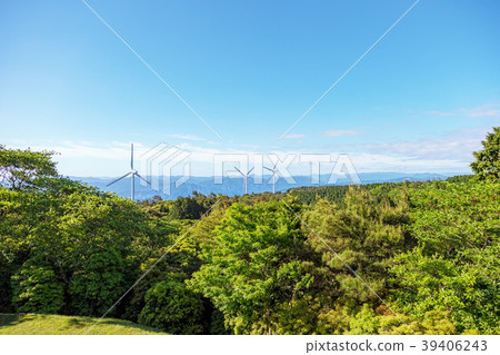 Wind power generation (May Aoyama plateau sunny) 39406243