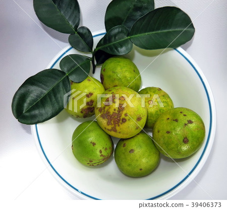 Citrus canker disease caused by bacterium on lemon Citrus canker disease caused by bacterium on lemon 39406373