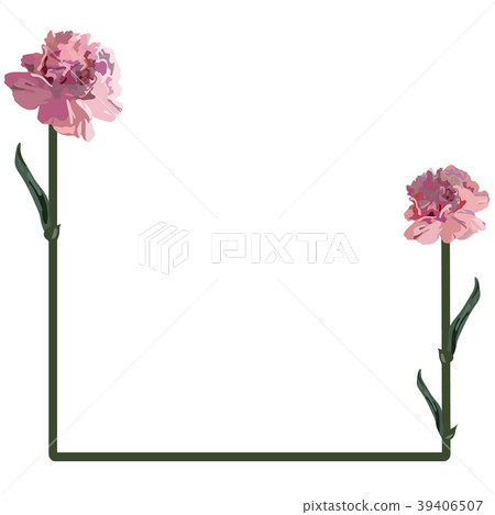 Carnation frame - Stock Illustration [39406507] - PIXTA