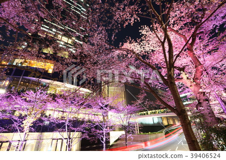 東京Yozakura東京中城粉紅燈亮起 39406524