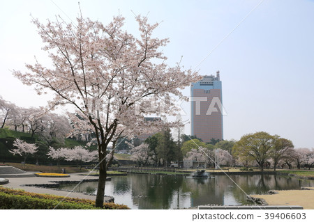 前橋公園和群馬縣政府 前橋公園和群馬縣政府 39406603