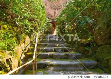 Spring Rurikoin 39406624