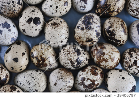 background of quail eggs in shell background of quail eggs in shell 39406797
