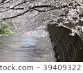 Sakura Ondagawa 39409322