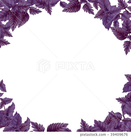 Round frame of Basil leaves and branches Round frame of Basil leaves and branches 39409676