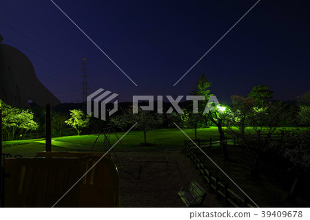 "Ichino Valley Park" night cherry blossoms (Izumo) at night "Ichino Valley Park" night cherry blossoms (Izumo) at night 39409678