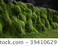 苔 39410629