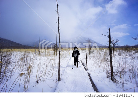 Snowshoe Snowshoe 39411173