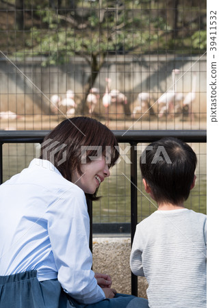 Parents and children enjoying at the zoo Parents and children enjoying at the zoo 39411532