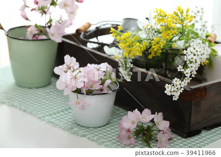 Cherry blossoms and spring flowers Cherry blossoms and spring flowers 39411966