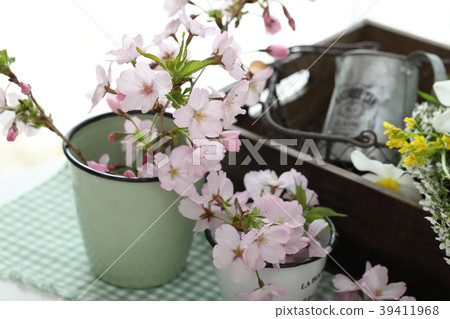 Cherry blossoms and spring flowers Cherry blossoms and spring flowers 39411968