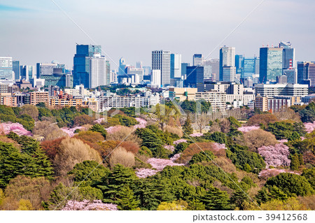 Scenery of Tokyo where cherry blossoms bloomed 39412568