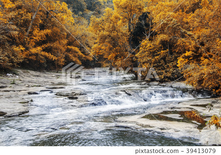The waterfall flows through the yellow tree trunk. 39413079
