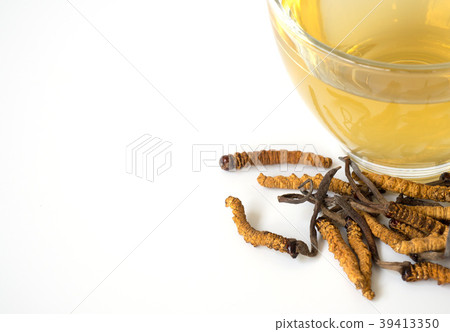 mushroomthis a herbs. With a glass of water mushroomthis a herbs. With a glass of water 39413350