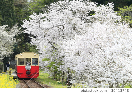 Spring Kominato Railway Spring Kominato Railway 39413748