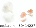 garlic cloves and garlic bulb with reflection 39414227