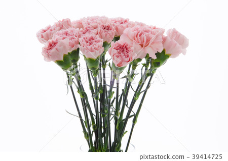  母親節，彌生薰，情人節，母親節，康乃馨，情人節，母親節 39414725