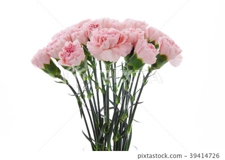  母親節，彌生薰，情人節，母親節，康乃馨，情人節，母親節 39414726