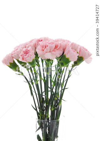  母親節，彌生薰，情人節，母親節，康乃馨，情人節，母親節 39414727