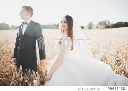 Beautiful wedding couple, bride and groom posing 39415488