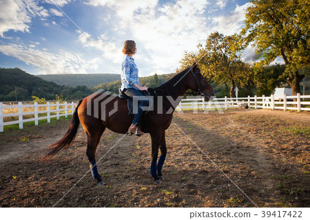 Evening walk on the horse Evening walk on the horse 39417422