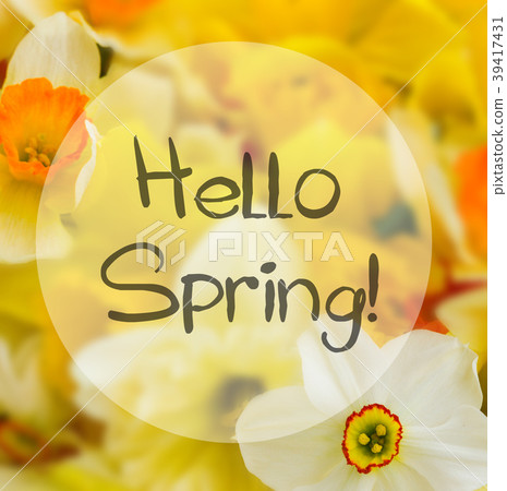 Fresh spring daffodils 39417431