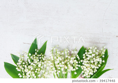 Lilly of the valley flowers 39417448