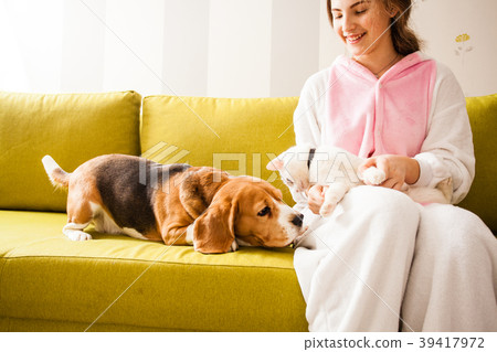 dog and cat communicate with each other 39417972