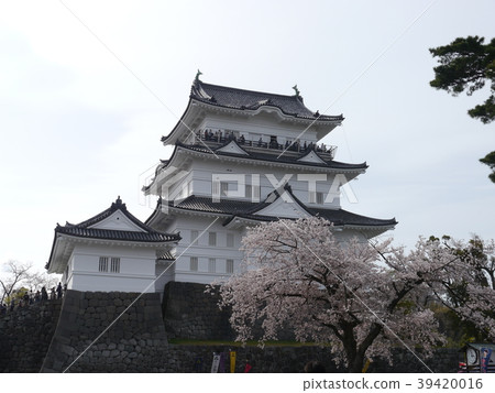 Odawara Castle (100 Attractions in Japan Sakura, 100 Castles in Japan) Odawara Castle (100 Attractions in Japan Sakura, 100 Castles in Japan) 39420016