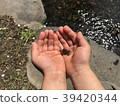 River play 39420344